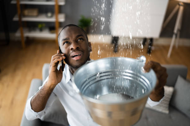 Best Residential water damage restoration  in Okanogan, WA