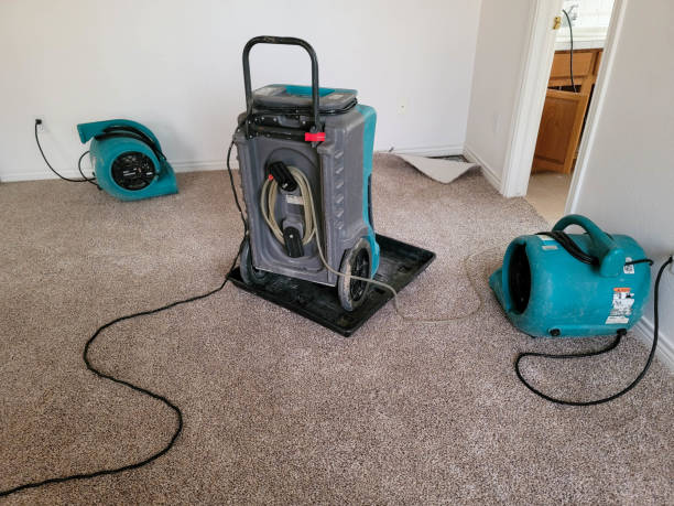 Best Carpet water damage restoration  in Okanogan, WA