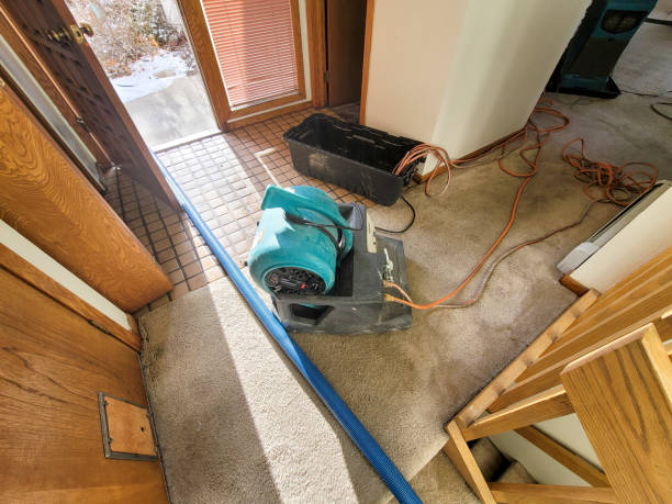 Best Water damage restoration near me  in Okanogan, WA