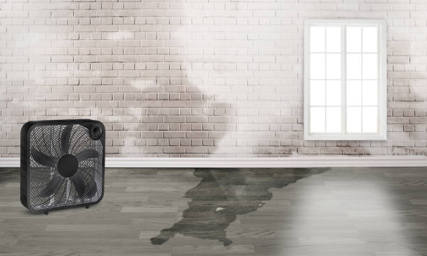 Trusted Okanogan, WA Water damage restoration Experts