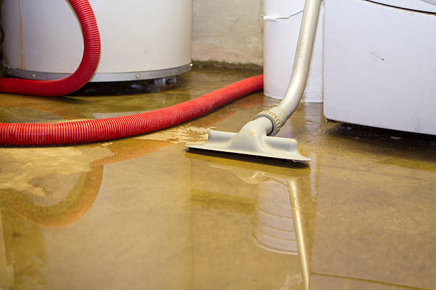 Best Basement water damage restoration  in Okanogan, WA