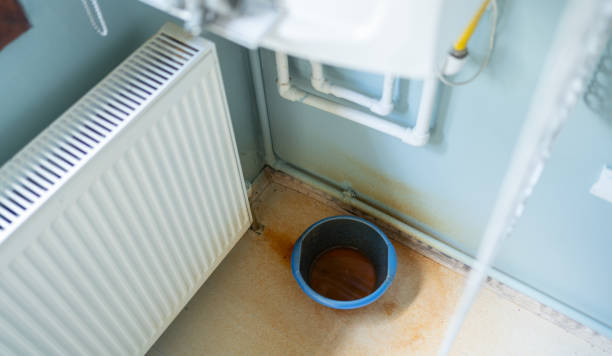 Best Flood damage cleanup  in Okanogan, WA