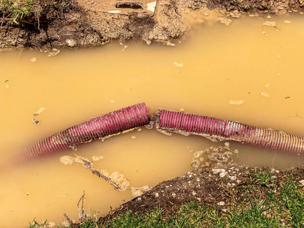Best Water damage cleanup near me  in Okanogan, WA